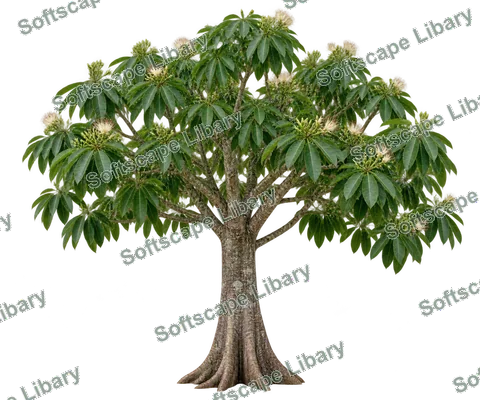 ศุภโชค ภาพ Elevation ติดลายน้ำ
